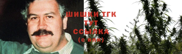 гидра Михайлов