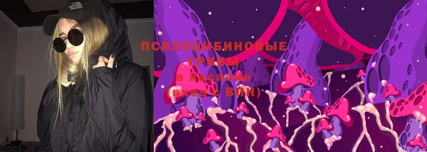 СК Верхний Тагил