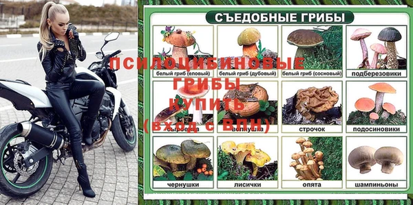 гидра Михайлов