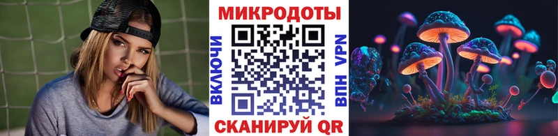наркотики  Вытегра  Псилоцибиновые грибы Cubensis 